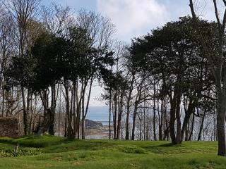 Manoir de Kergrec'h - 7
