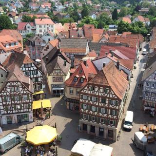 Hotel Schwanen - Mosbach - 9