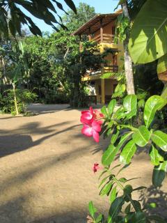 Pousada da Paz - Itacaré - 8
