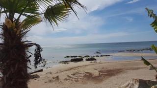 Apartments Fuchs - Umag - 0