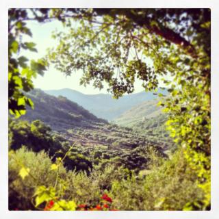 Agriturismo Al Poggetto - Piana degli Albanesi - 5