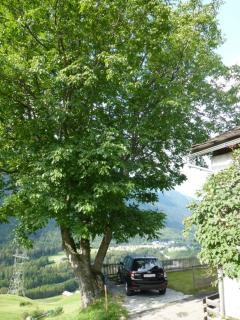 Casa Tavernela - Vicosoprano - 1