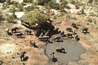 South Okavango - Omogolo Hideaways - Rammu - 1