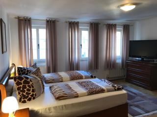 Hotel Schwanen - Mosbach - 3
