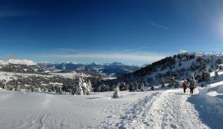 Finggeneislerhof - Villandro - 3