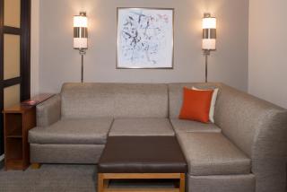 Hyatt Place Dallas/North Arlington/Grand Prairie - Arlington - 1