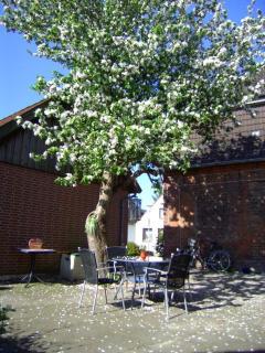 Haus Gezeiten - Meldorf - 0
