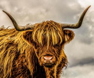 Riverside Gardens - 7