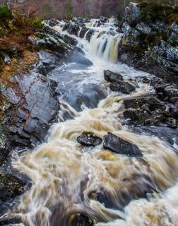 Riverside Gardens - 4