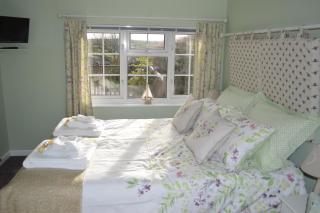 Bumble Bee Cottage - Hartland - 1