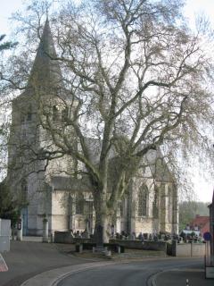 Huis van Rooi - Sint-Agatha-Rode - 5