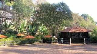 Monteverde - Mazamitla - 6