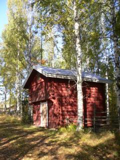 Vanha-Pälsilä lakeside farm - Kuhmoinen - 1