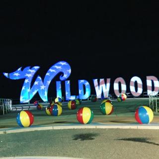 Bird of Paradise Motel - North Wildwood - 0
