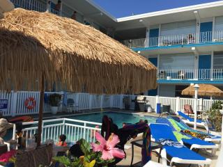 Bird of Paradise Motel - North Wildwood - 9
