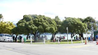 Akaroa Vista Apartment with car park - 6