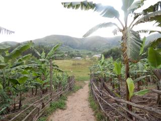 Uganda Lodge - Ruhanga - 6