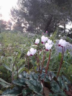 Cabin In The View - 4