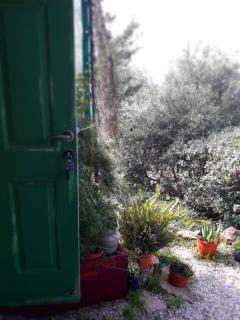 Cabin In The View - 1