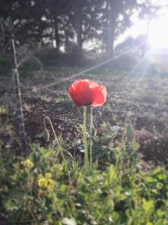 Cabin In The View - 6