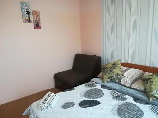 Guesthouse Sava - Slavonski Brod - 1
