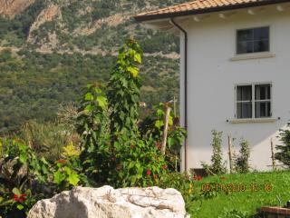 B&B Macchia d'Olmo - 4