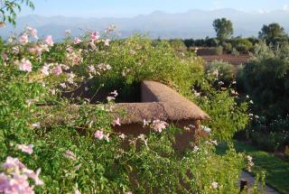 Ecolodge Quaryati Marrakech - Douar Tounsi - 3