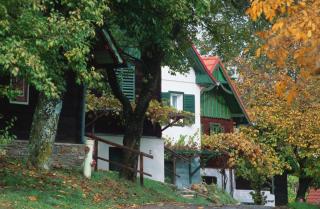 Gasthof Hotel Zum Weinberg - Kohfidisch - 7
