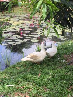 Nubdao Resort&Restaurant - 1