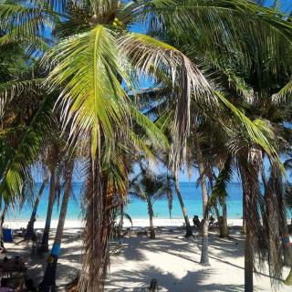 Zippy´s Sea View Apartments - San Andrés - 0