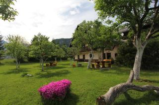 Apartments Arh - Bohinj - 1