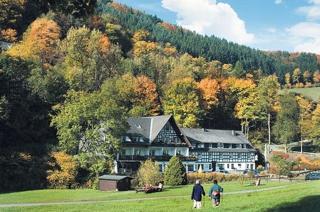 Tommes Gästehaus Zur Mühle - Schmallenberg - 0