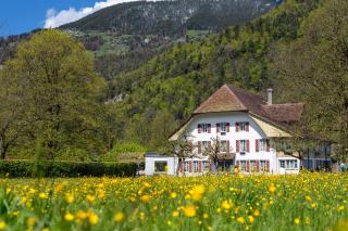 Neuhaus Golf- & Strandhotel - Interlaken - 7