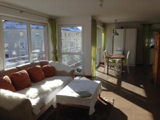 Helle großzügige Dreizimmerwohnung - 8