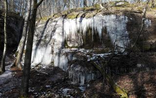 Sängerwiese - Eisenach - 5