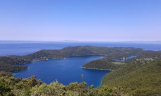 Sunny Side of Mljet - Babino Polje - 9