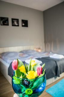 Pokoje Staromiejski - Uniejow - 9