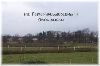 Holunder Hüsken - Oberlangen - 1