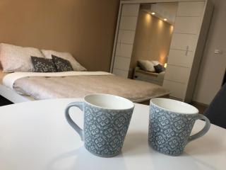 Apartmán U Zlaté hroudy - Zlaté Hory - 4