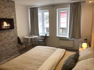 Apartmán U Zlaté hroudy - Zlaté Hory - 2