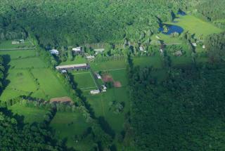 Lukans Farm Resort - Hawley - 9