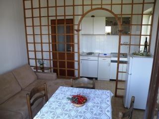 Apartments for families with children Pasman - 14788 - 7