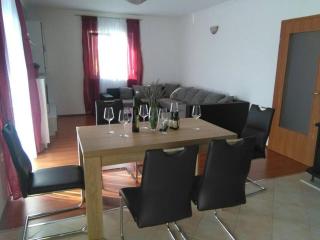 Family-friendly apartments with swimming pool Tribalj, Crikvenica - 14789 - 5