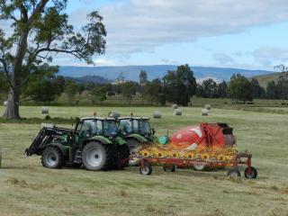 Glenfield Cottage - Yarck - 7