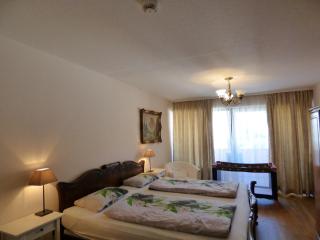 Colibri Apartment - Baden-Baden - 1