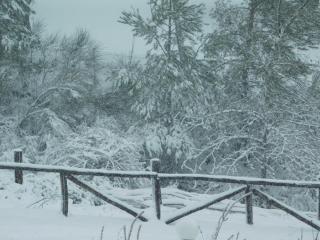 Archontariki Guesthouse - Poligiros - 6