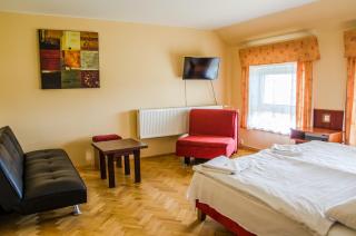 Hotel U Jezera - Velký Osek - 5