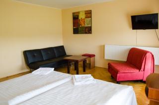 Hotel U Jezera - Velký Osek - 7