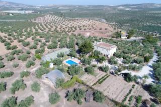 Agroturismo Ecologico el Cortijillo - Luque - 8