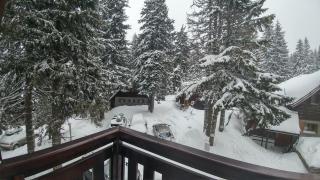 Apartments Zed Vila Zvoncica - Kopaonik - 3